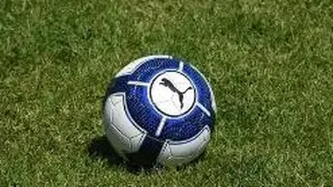 海外支付巨头新策略解析：效仿电商策略？