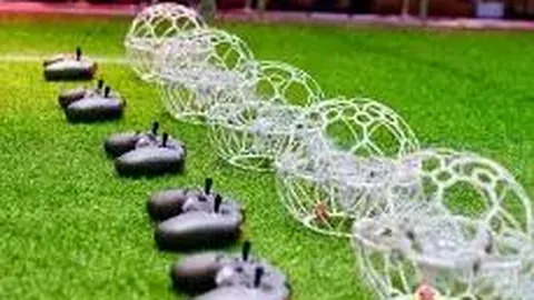 中超年度巨星争霸：瓦科、王钰栋、法比奥领衔争锋！