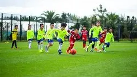 壹号娱乐大舞台 产品 103631 3qj