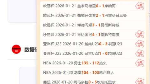 热刺力克伯恩利，贝尔梅英勇表现再掀胜利高潮
